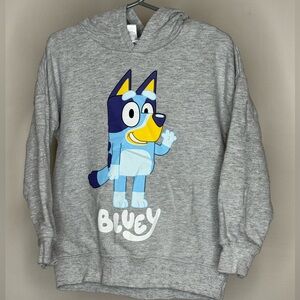 Bluey Toddler Boys Fleece Pullover Hoodie size 5T
